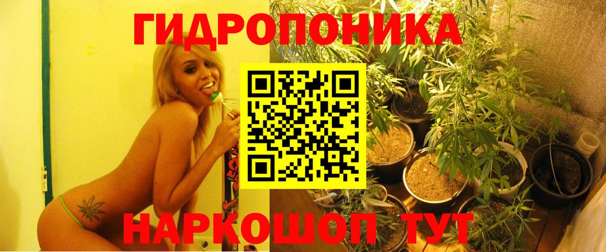 Каннабис индика Карталы